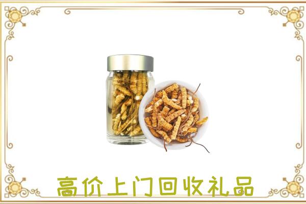 曲靖周边回收虫草